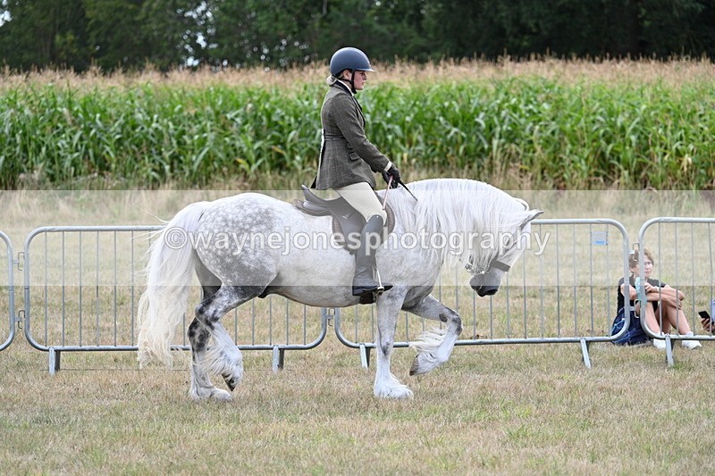 WJ7_5272 - Class 12 Ridden Cob
