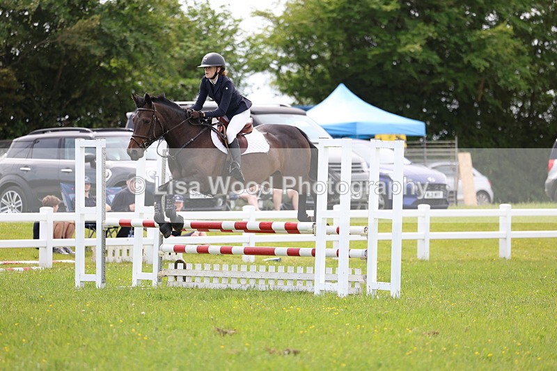 3E7A1574 - Class 13: Senior British Novice/90cm open