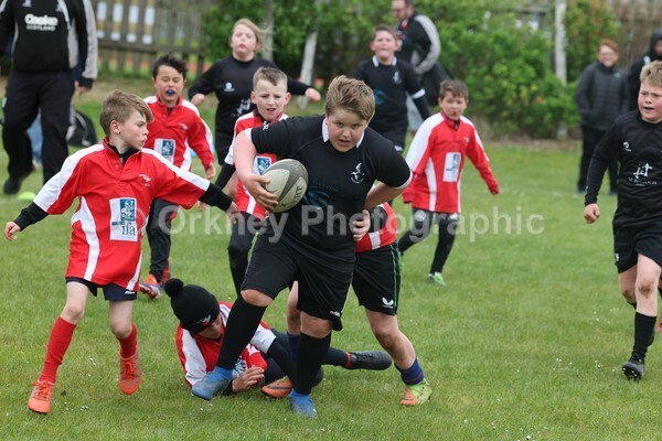 DAD22398 - Rookies/Mini Rugby on 7s Day