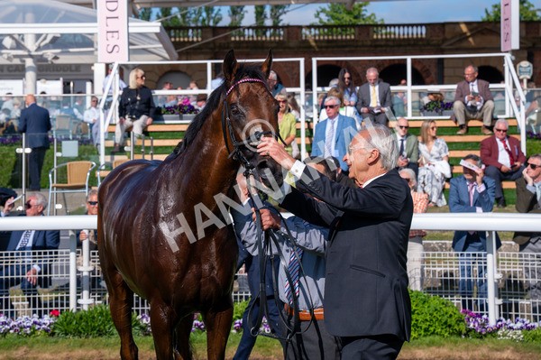 160525-Race 6-Bowmark-6628 - Race 6 4.55pm Darley EBF 'Confined' Novice Stakes