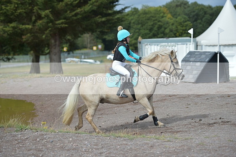 NGP_1893 - XC Time 10:53 to 11:00