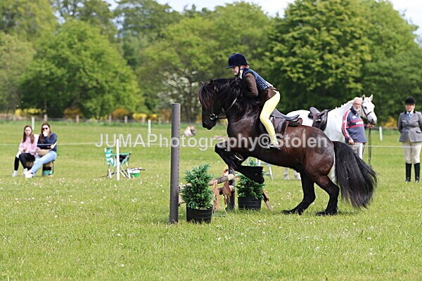 IMG_3267 - Working Hunter