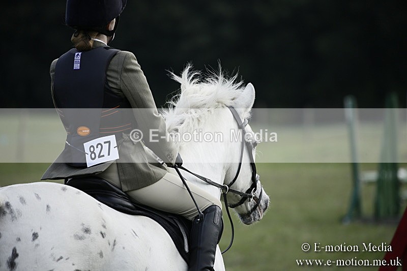 BVR090918 372 - BVRC Dressage and Show Jumping 09/09/18