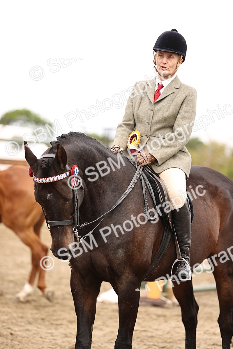 SBM_00691 - Class 53 - Ridden Competition Horse Pony