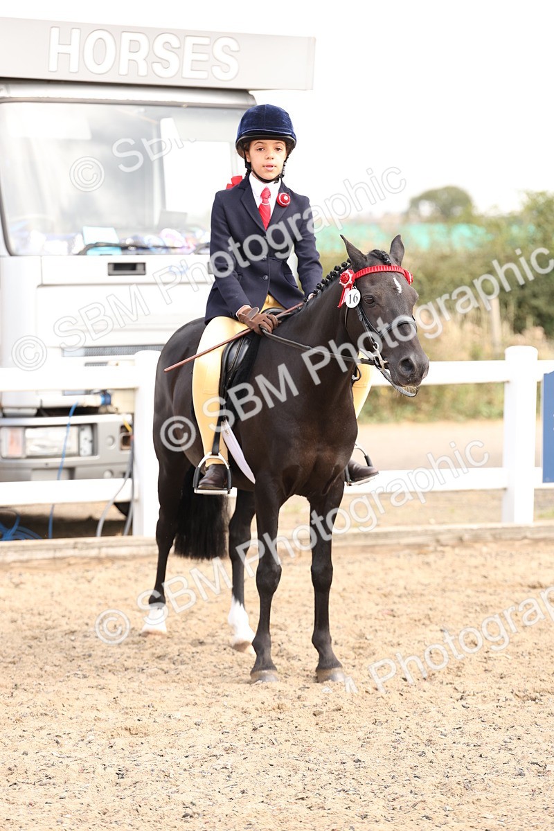 SBM_04256 - Class 54 - Riding Club Horse/Pony