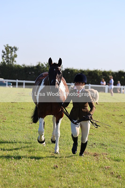 IMG_1327 - Class 27: Ridden Plaited Coloured Horse