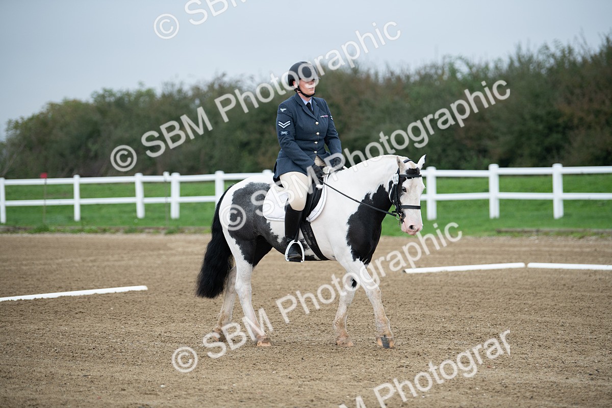 SBM_003497 - Introductory Test 3