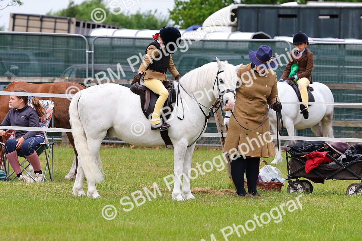 SBM_08198 - Class 42-43 - LIHS BSPS Heritage Working Sports Pony