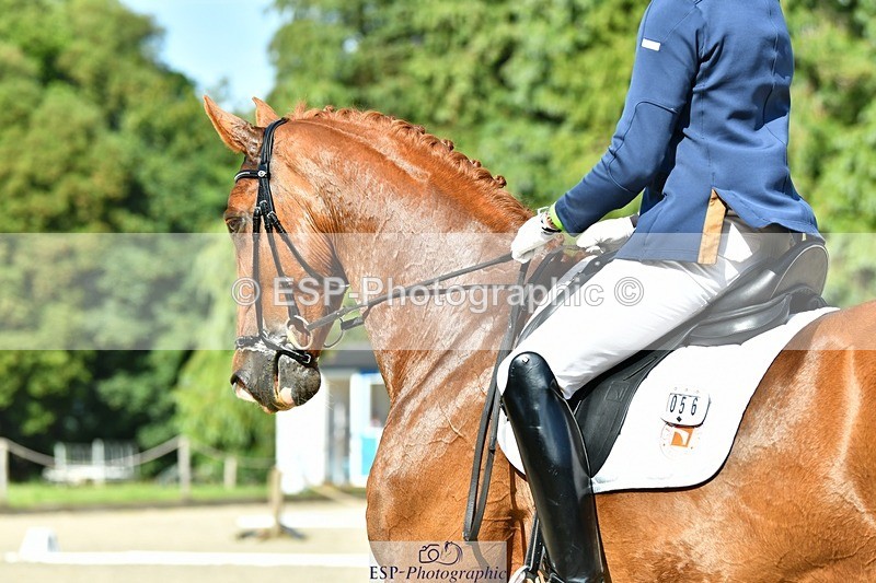 230623-170810-02961 - Cls 9 Advanced Medium 91Q