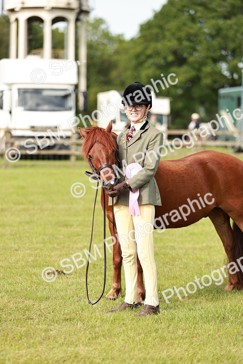 SBM_00564 - Class 14-23 - Mountain & Moorland In Hand Non Welsh