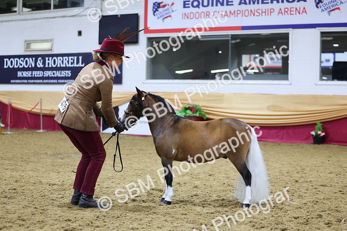 SBM_21034 - Class 902 - Supreme Final IH Veteran