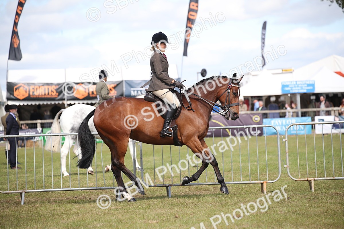 SBM_13314 - Class 95-96 - LIHS BSHA Rising Star Hack Riding Horse