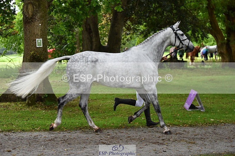 240522-164314-01111 - 267-VAN_KAUNITZ-Jemima_Howden