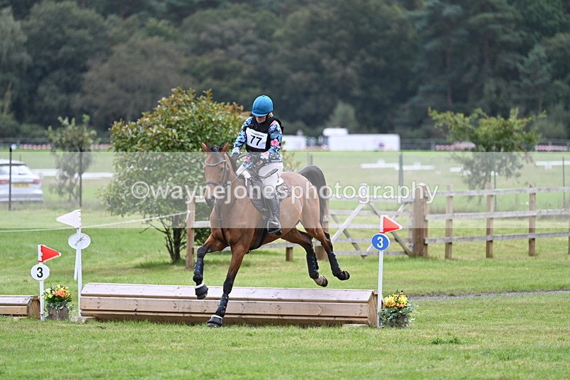 WJ7_9315 - 60cm Time 12:51 to 13:18