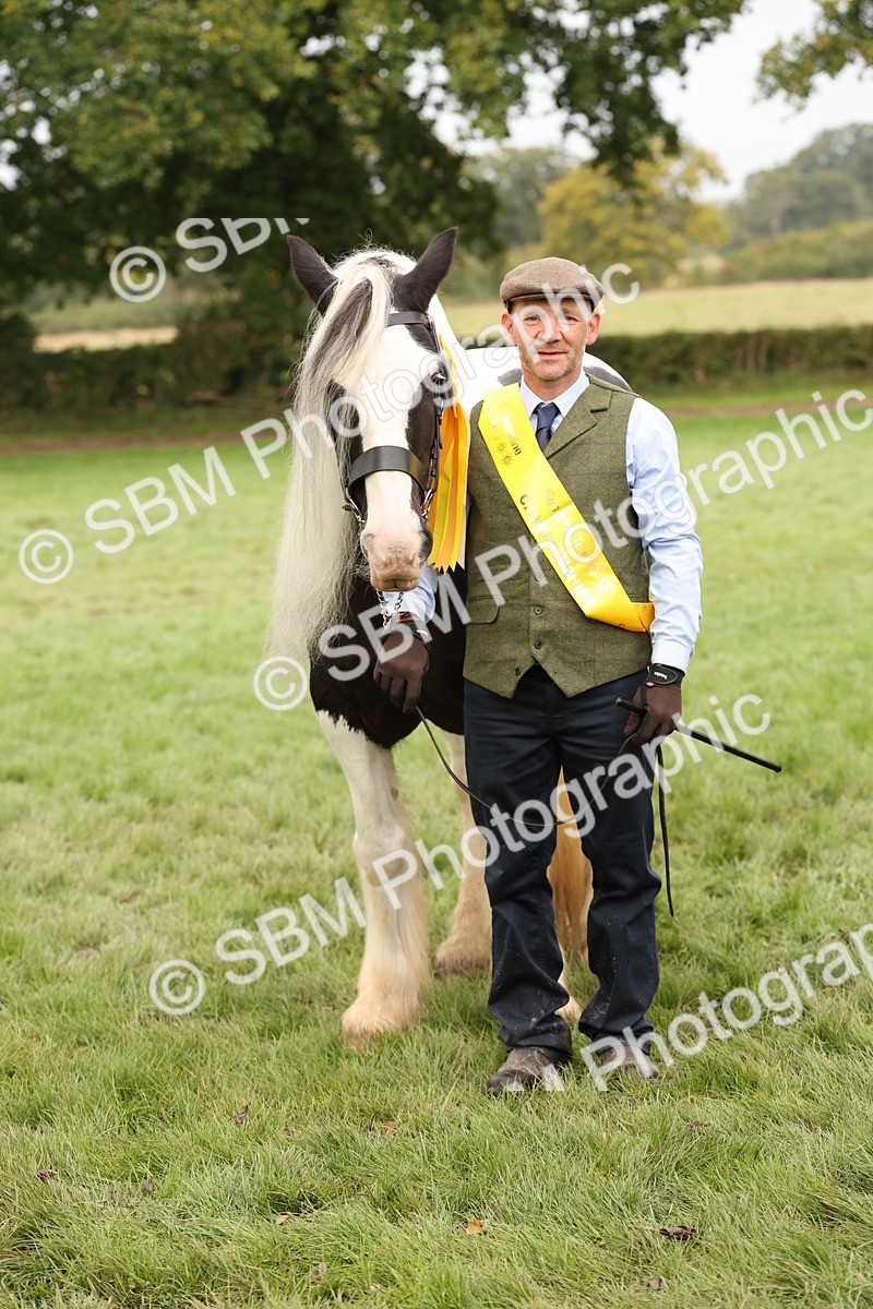 SBM_57529 - S56 - Show Cob in Hand