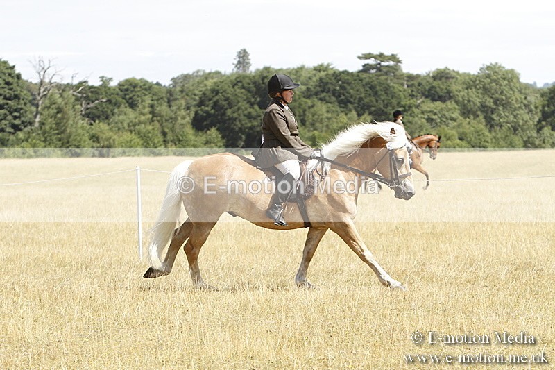 _BS_0740 - BVRC Show 2018 Ring 1