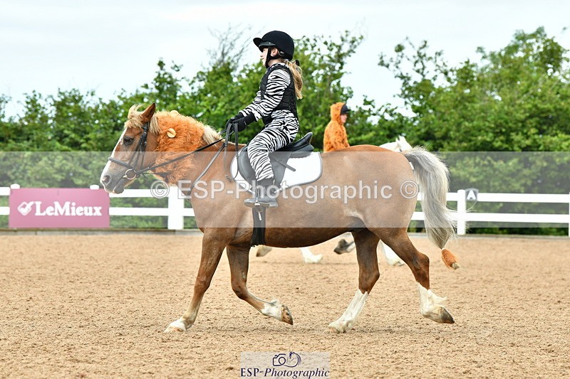 230804A-105859-02084 - Musical Ride