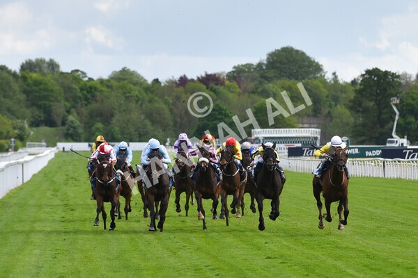 yr11052022r6-22 - Race 6 4.45pm Conundrum HR Consulting Stakes