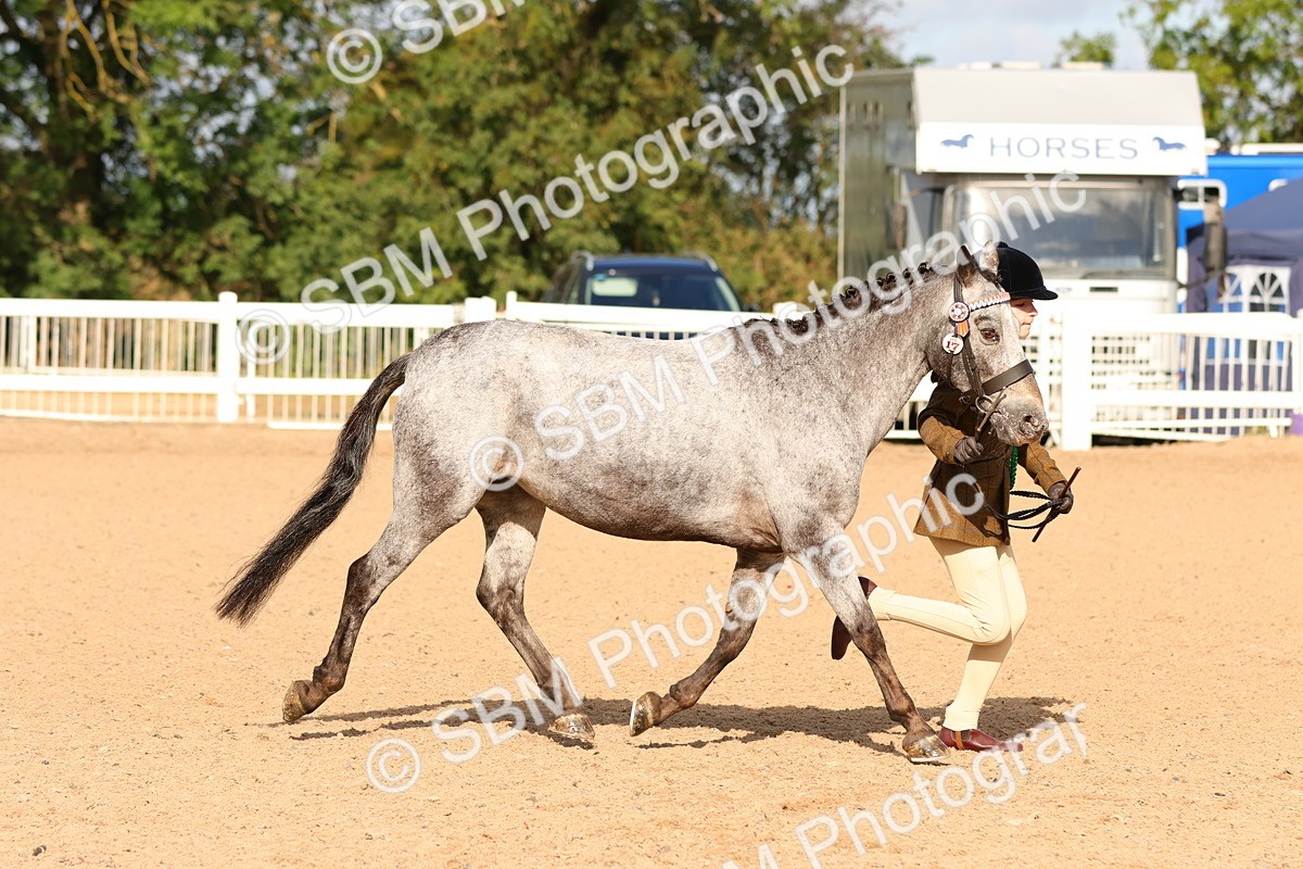 SBM_09276 - Class 204 - Young Handler