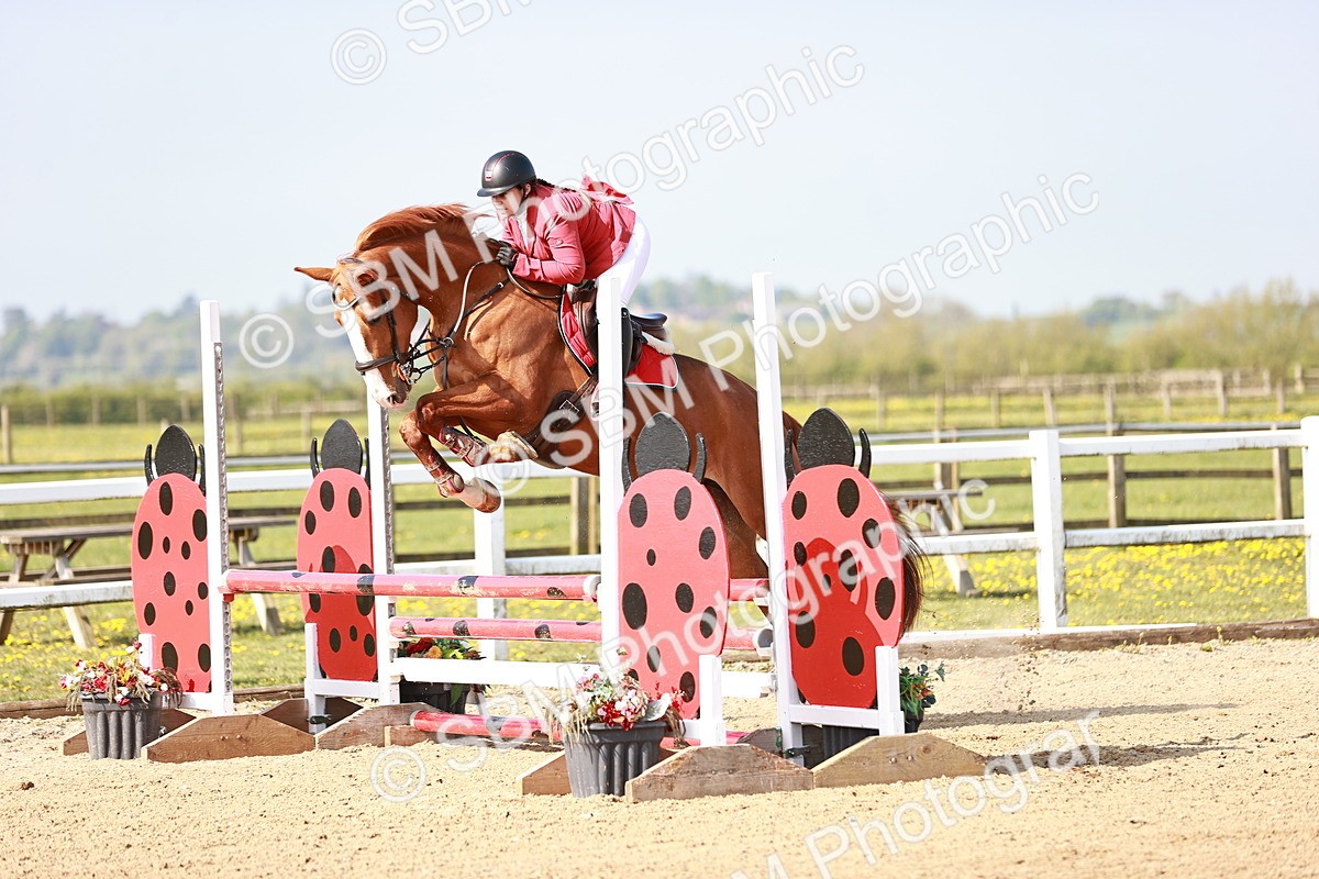  - Class 21 - Senior British Novice - 90cm