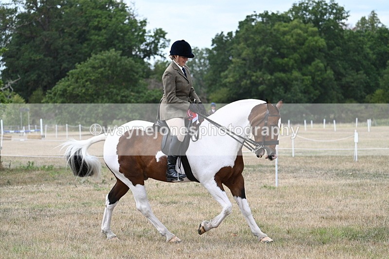WJ7_5657 - Class 12 Ridden Cob