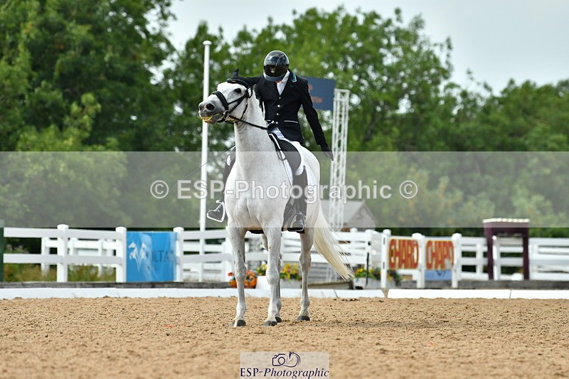 230701A-161357-07353 - Cls 13 Adv Medium 91