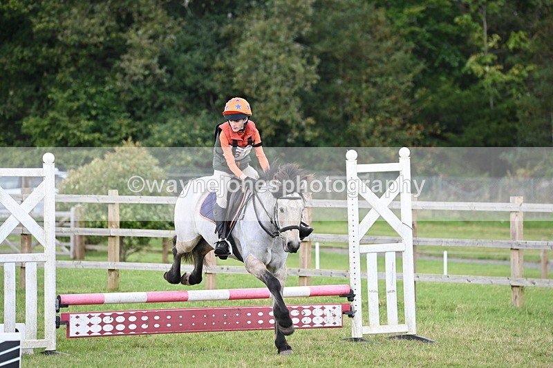 WJ6_1618 - 60cm Time 12:11 to 12:28