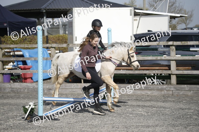 20250412-0244 - Show Jumping
