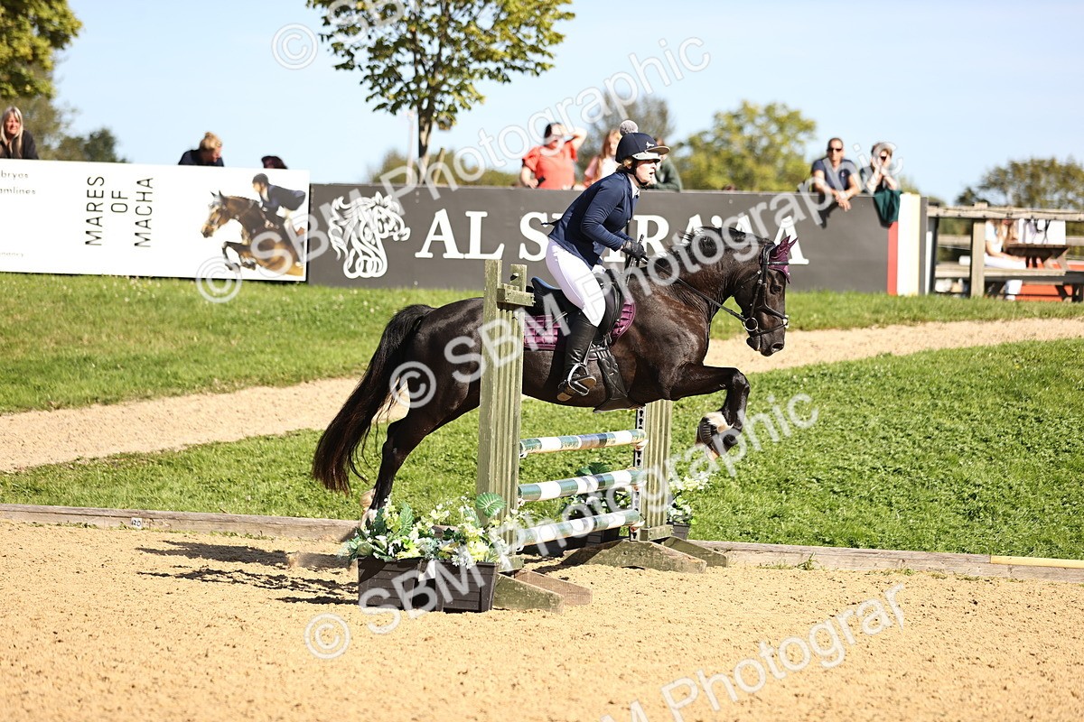 SBM_38415 - J39 - Senior 85cm Championship