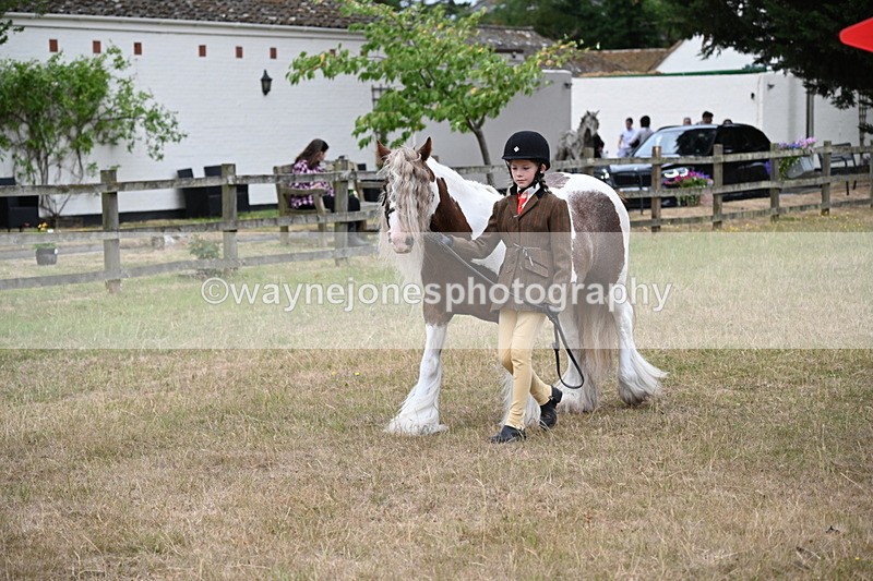 WJ6_8028 - Class 10 Coloured in Hand
