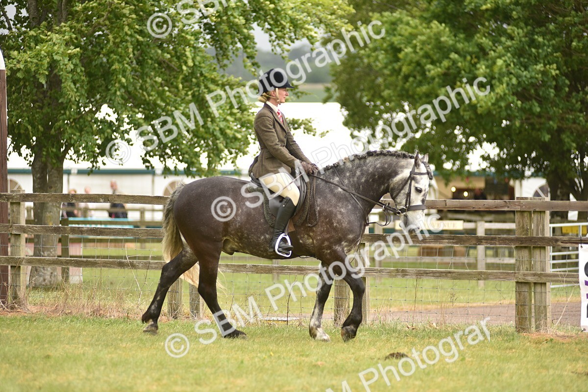 SBM_12089 - Class 110-112 - LIHS BSPS Performance Pones