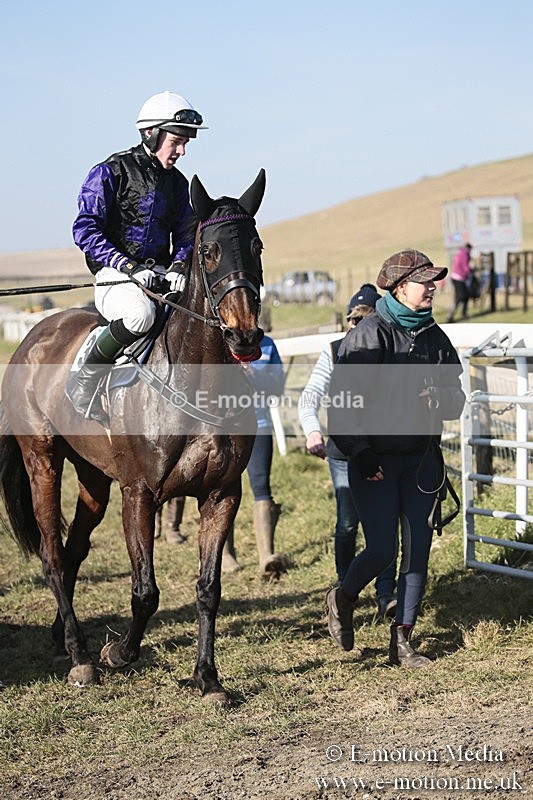 PtP 240218 421 - Vine & Craven Hunt Point-to-Point Barbury racecourse 24/02/18