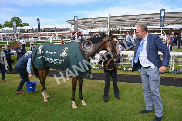 yr21052022r6-39 - Race 6: 4:42pm Yorkshire Regiment Stakes