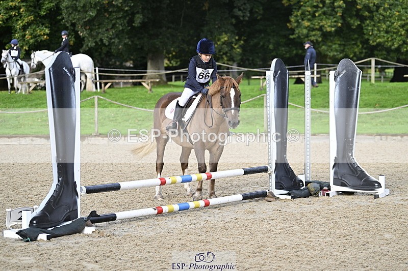 251005A-090133-02914 - Cls 02 GR 50cm