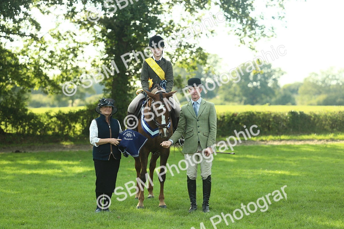 SBM_52307 - Working Hunter Supreme Championship