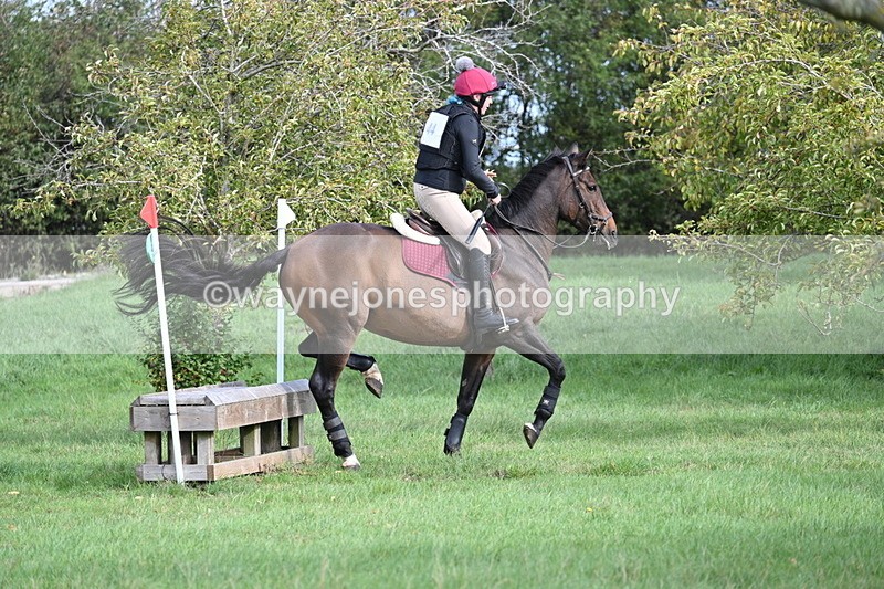 WJ7_8317 - 60cm Pairs