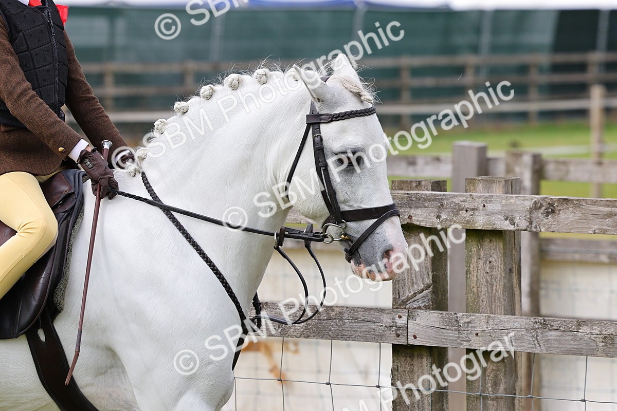 SBM_09615 - Class 44-45 - LIHS BSPS Open Nursery and Cradle Stakes