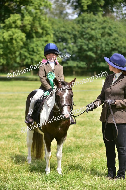 20260614-1410 - Class 11b - Lead Rein Pony (Plaited)