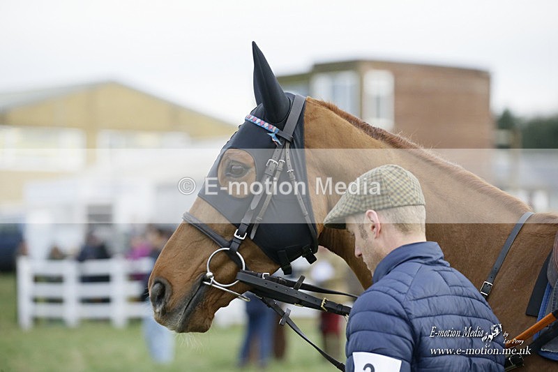 PtP 281121 0488 - Hursley Hambledon Point-to-Point Larkhill 28/11/21