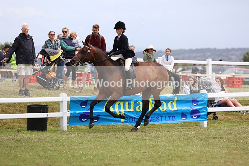 3E7A0998 - Class 8: Open Riding Horse/Hack