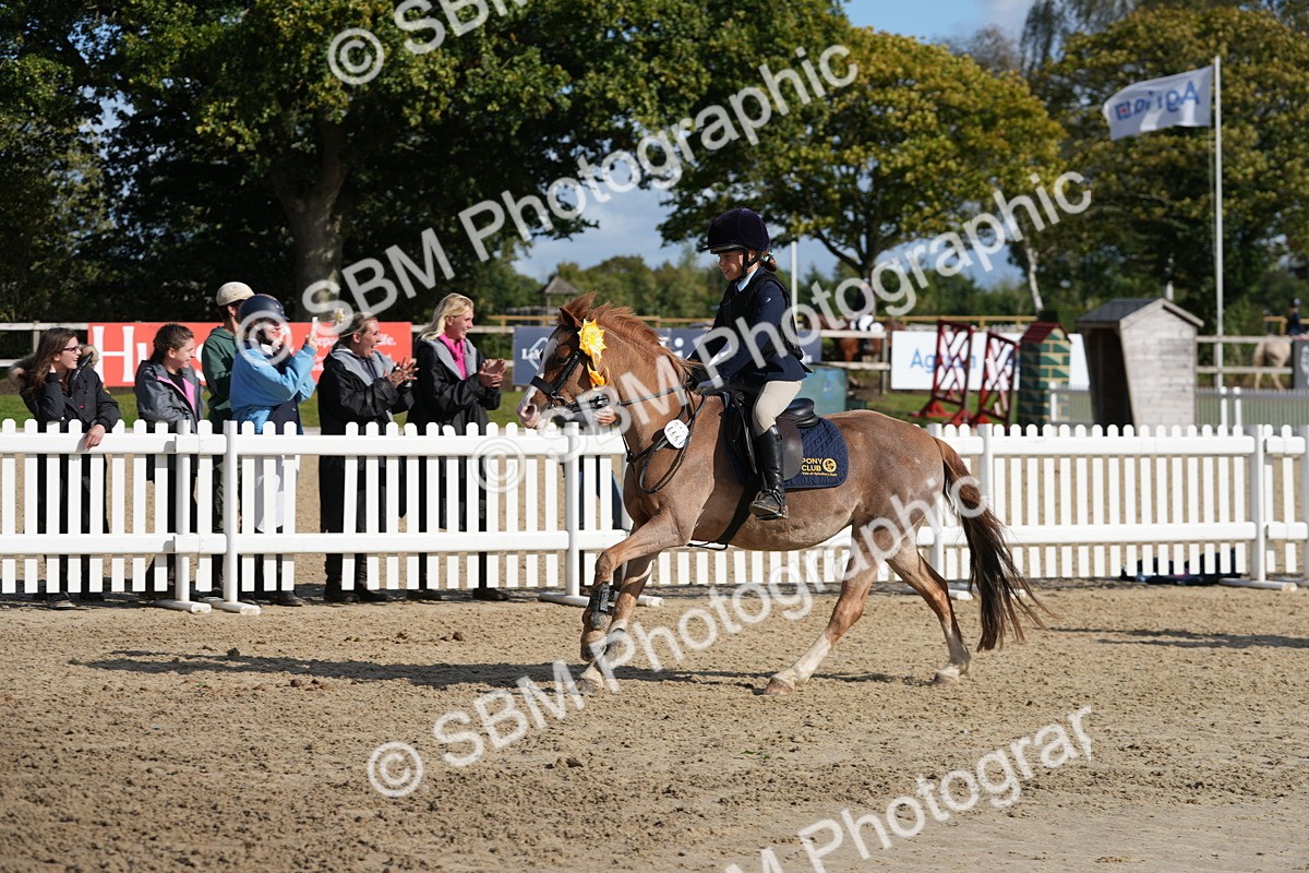 SBM_48633 - J7 - Junior Pony 60cm Championship