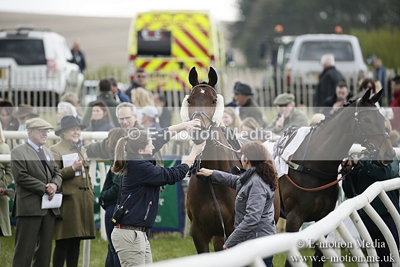PtP 170417 120 - Old Berks Point-to-Point Lockinge 17/04/17