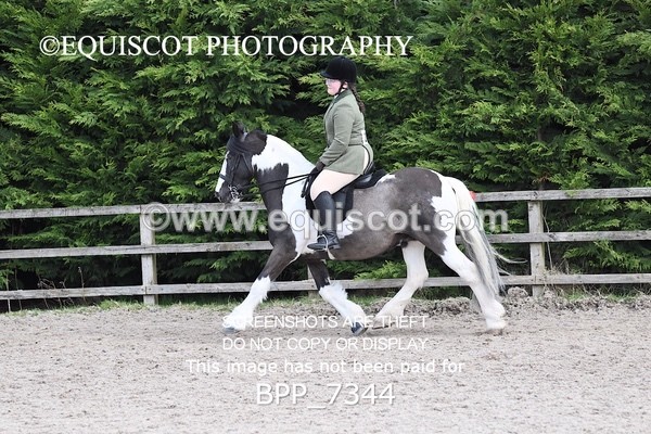 BPP_7344 - RING 1  (RIDDEN HORSES / IN HAND / VETERAN ETC)