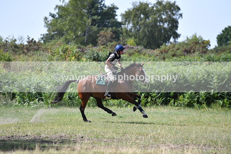 WJ5_2888 - XC Time 12:35 to 12:59
