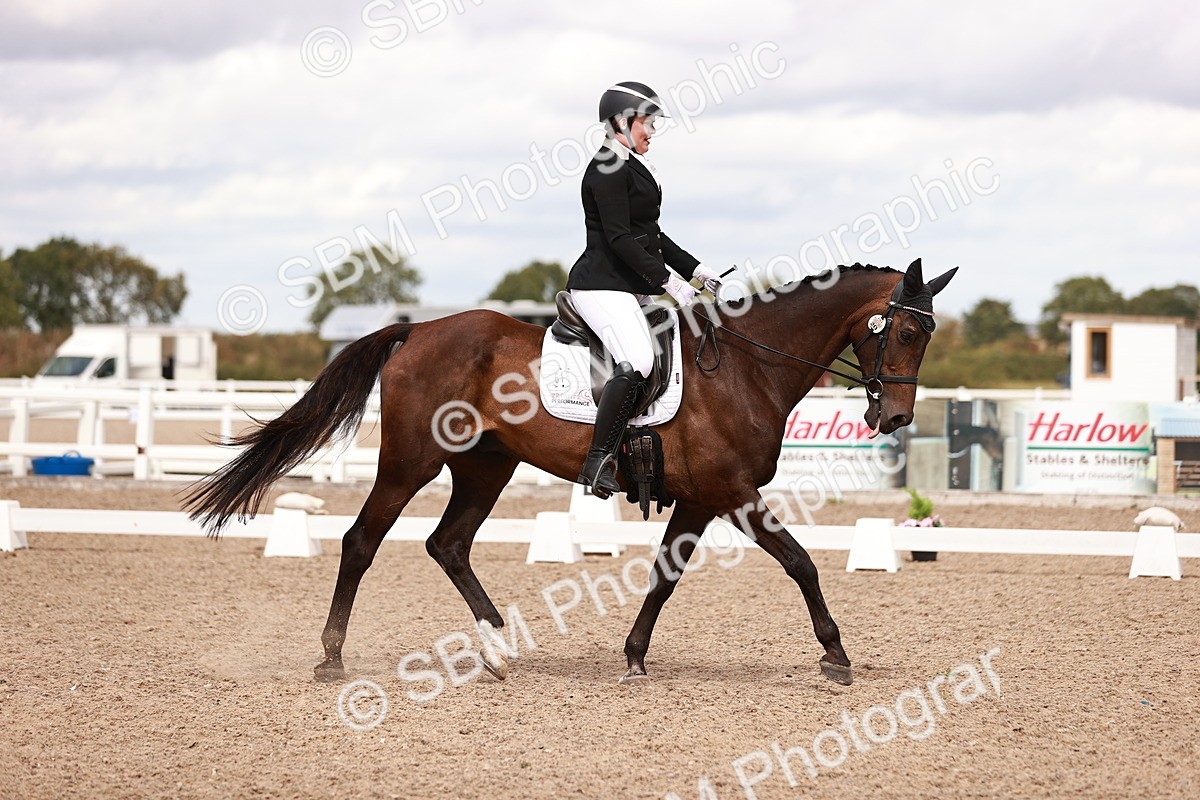 SBM_06262 - Class 37 - Novice 5