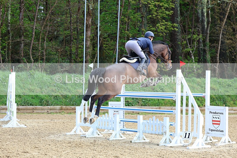 3E7A2152 - Class 8: Senior Foxhunter/1.20 open