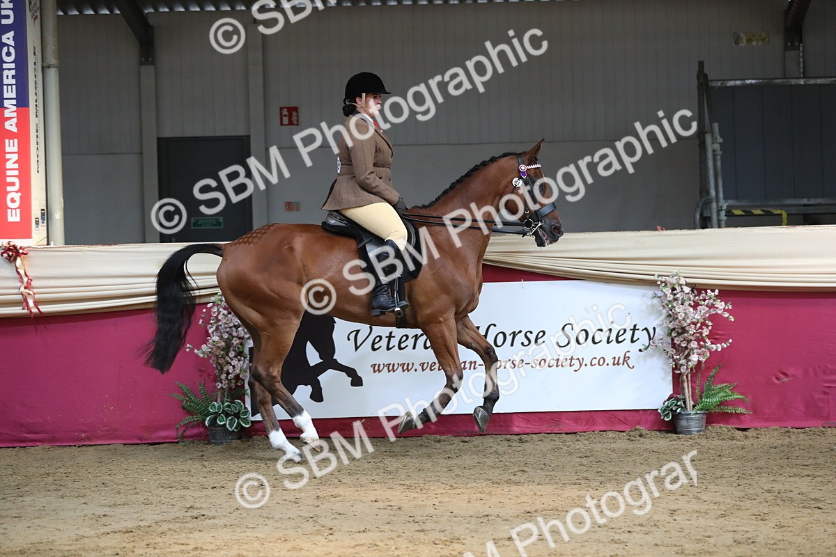 SBM_08321 - Class 11R Regional Ridden Veteran