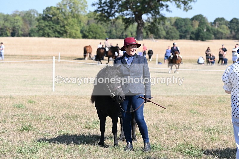 WJ6_4295 - Class 16 Condition & Turn Out