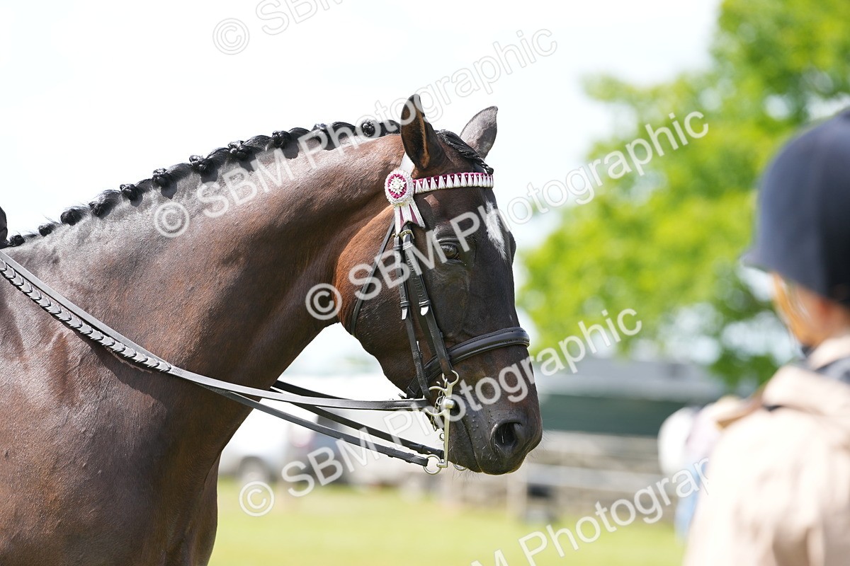 SBM_16264 - Class 105-106 - RIHS Riding Horses