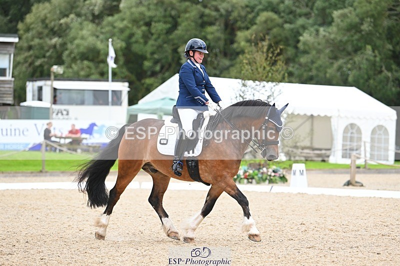 230813-142114-07735 - Cls 13 Medium Bronze 13.15 to End